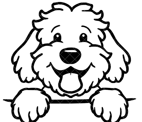 Doodle Bath & Tidy