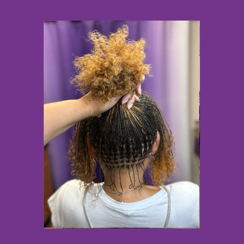 MicroLoc Braids at Hair By Tiffany in Longview, TX