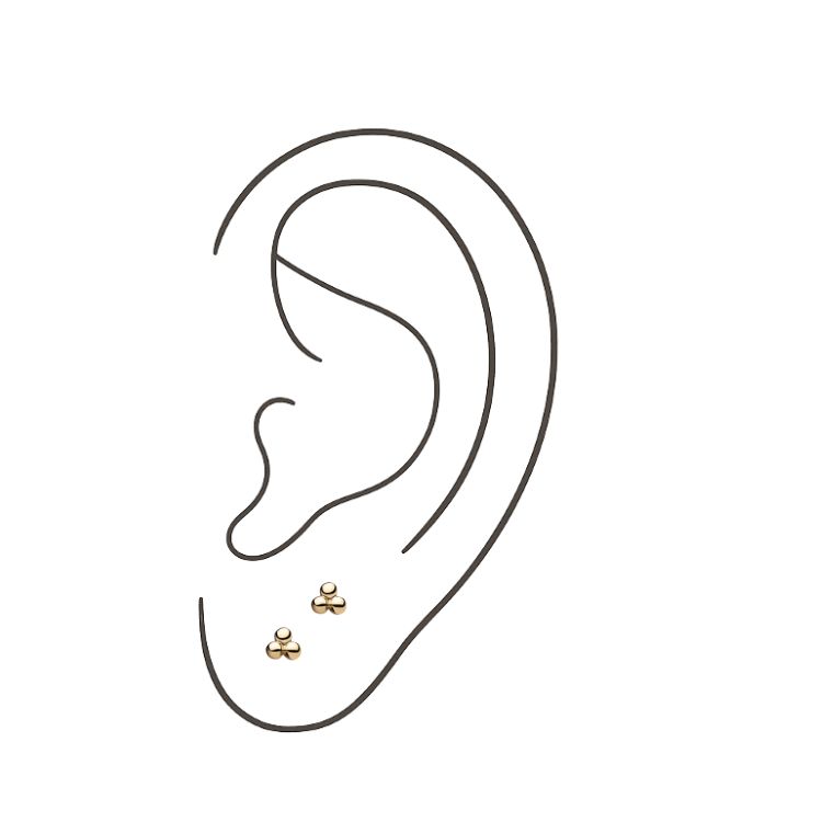 2nd Lobes (Jewelry Included)