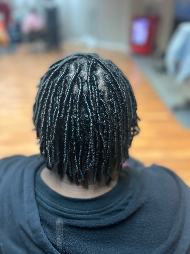 Starter Locs Full Head