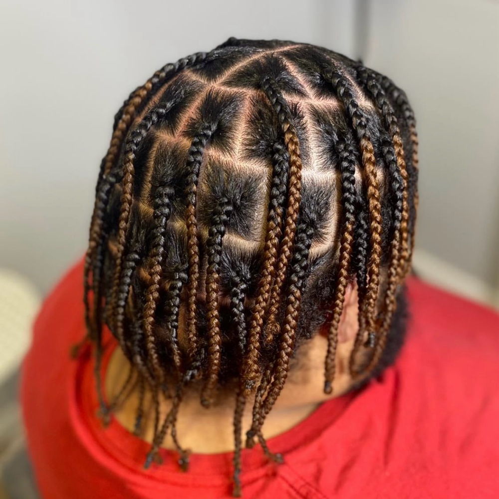 Singles (Individual Braids)