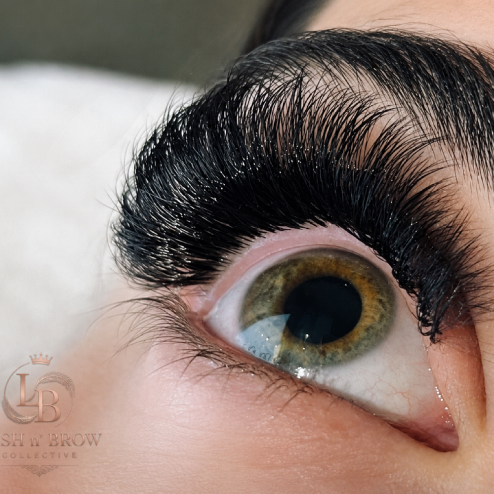 Volume Full set at Lash n' Brow Collective in Old Bridge, NJ
