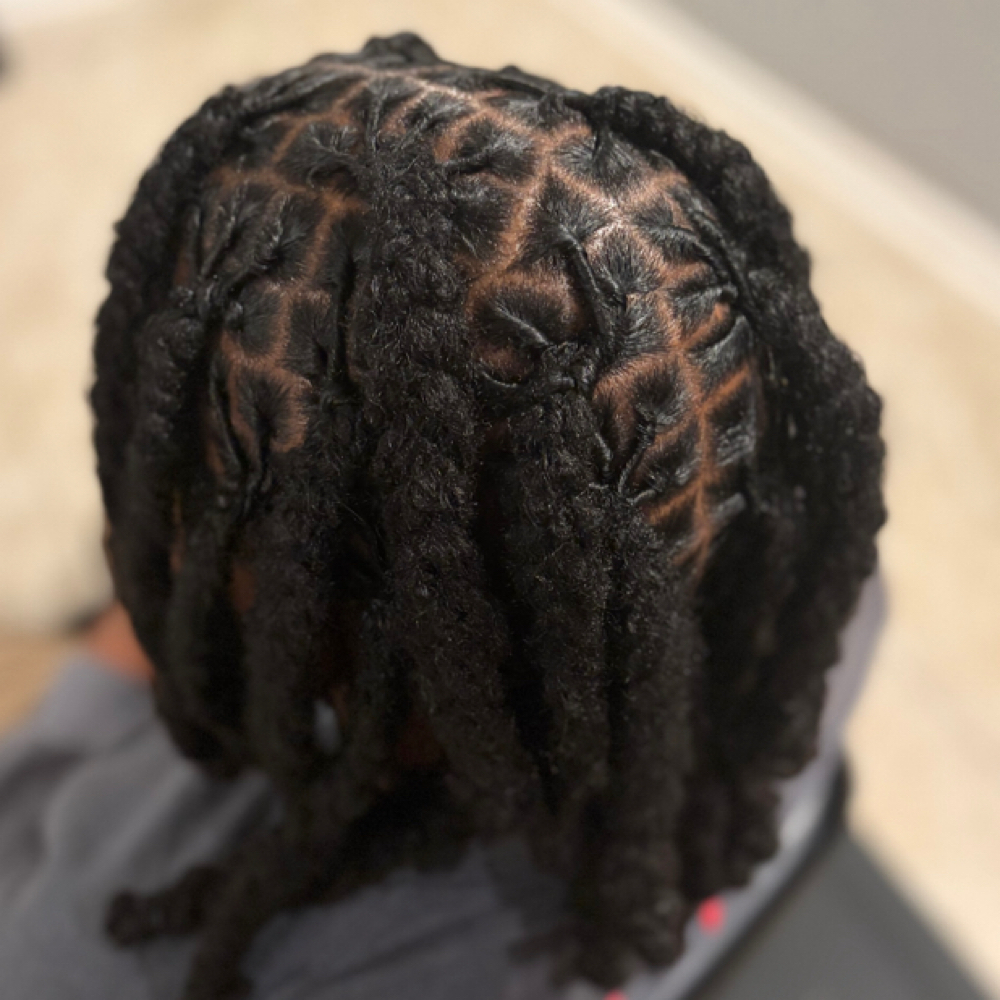 👑 Loc Plaits at Xclusive Locs in Tuscaloosa, AL