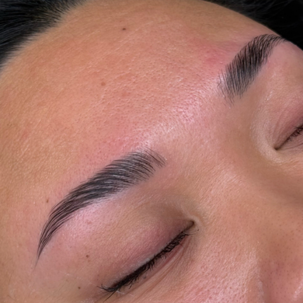 Brow Lamination w wax at Modern Lash & Brow Co in Virginia Beach, VA