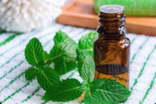 Peppermint Essential Oils ADD-ON