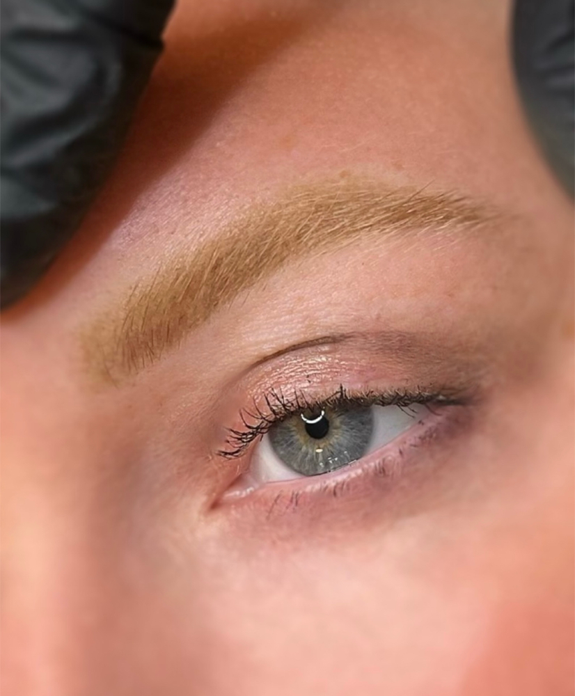 NANO SOFT POWDER BROWS
