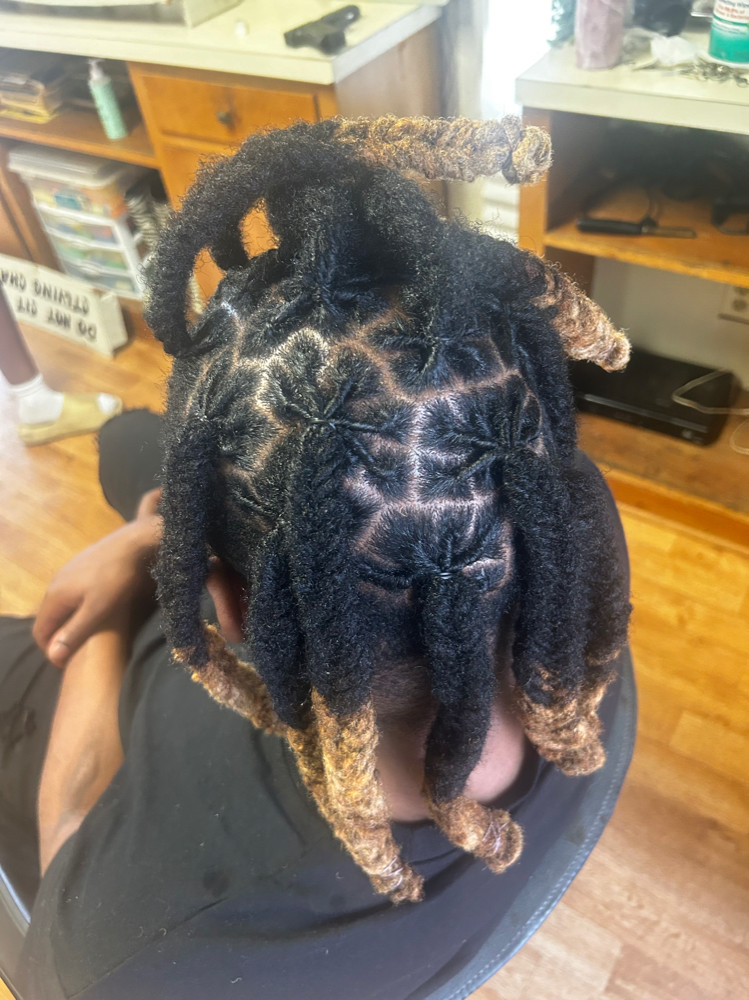 Retwist w/ Fishscales