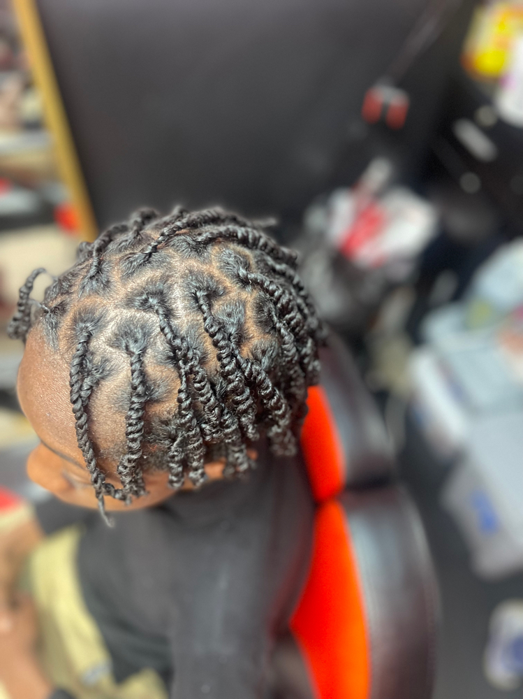 Starter Locs (2 Strand Method)