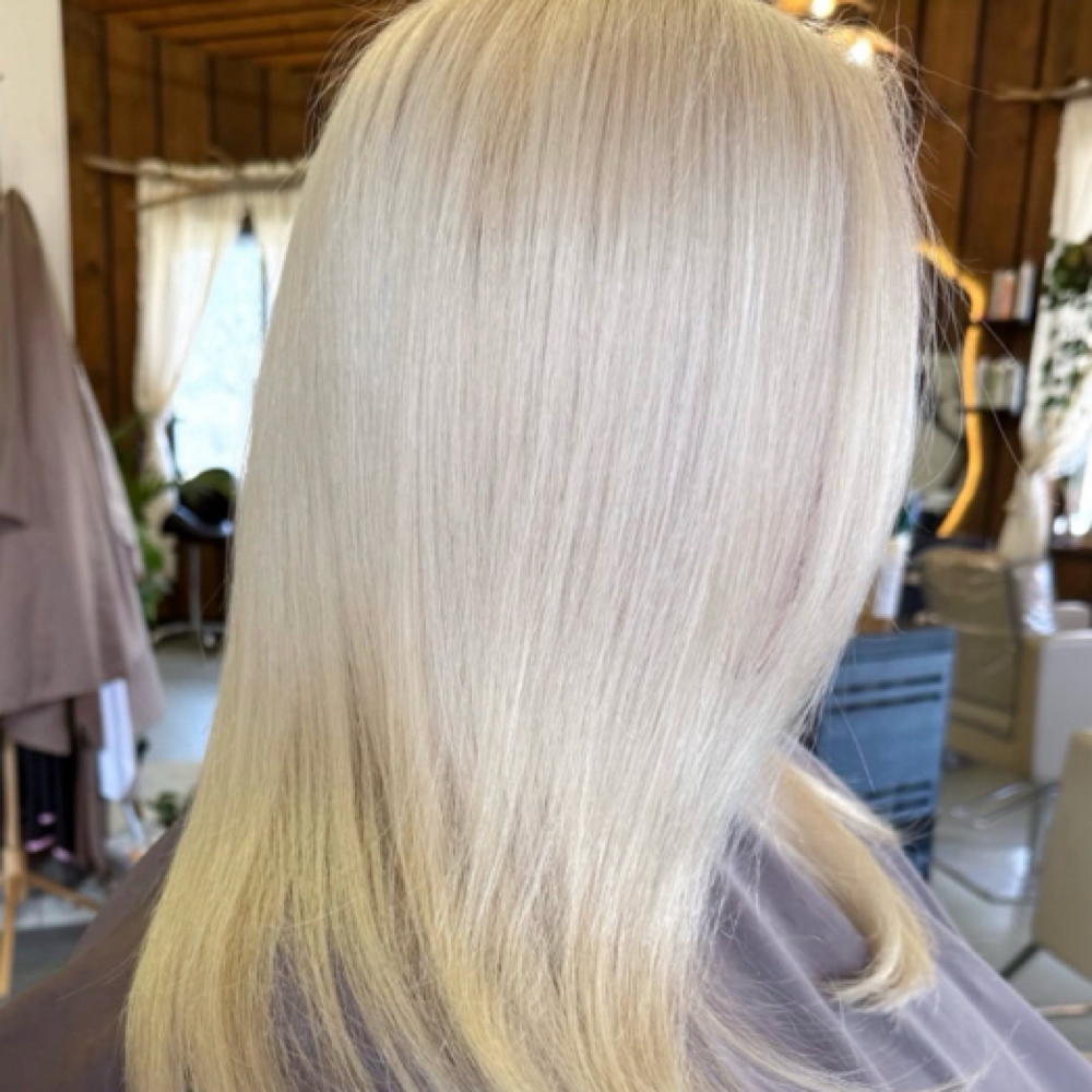Platinum Retouch Package at The Mane Haven in Columbus, MS