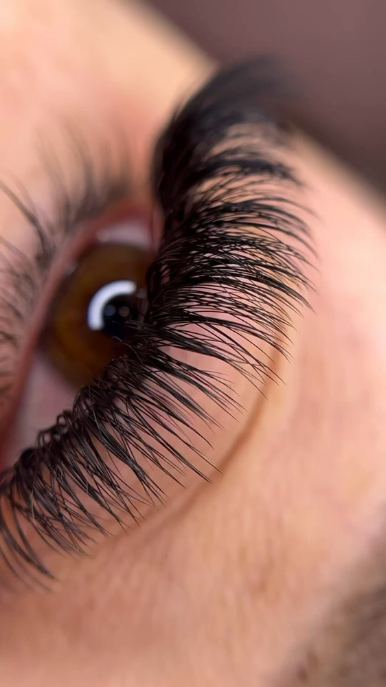 Hybrid Lashes