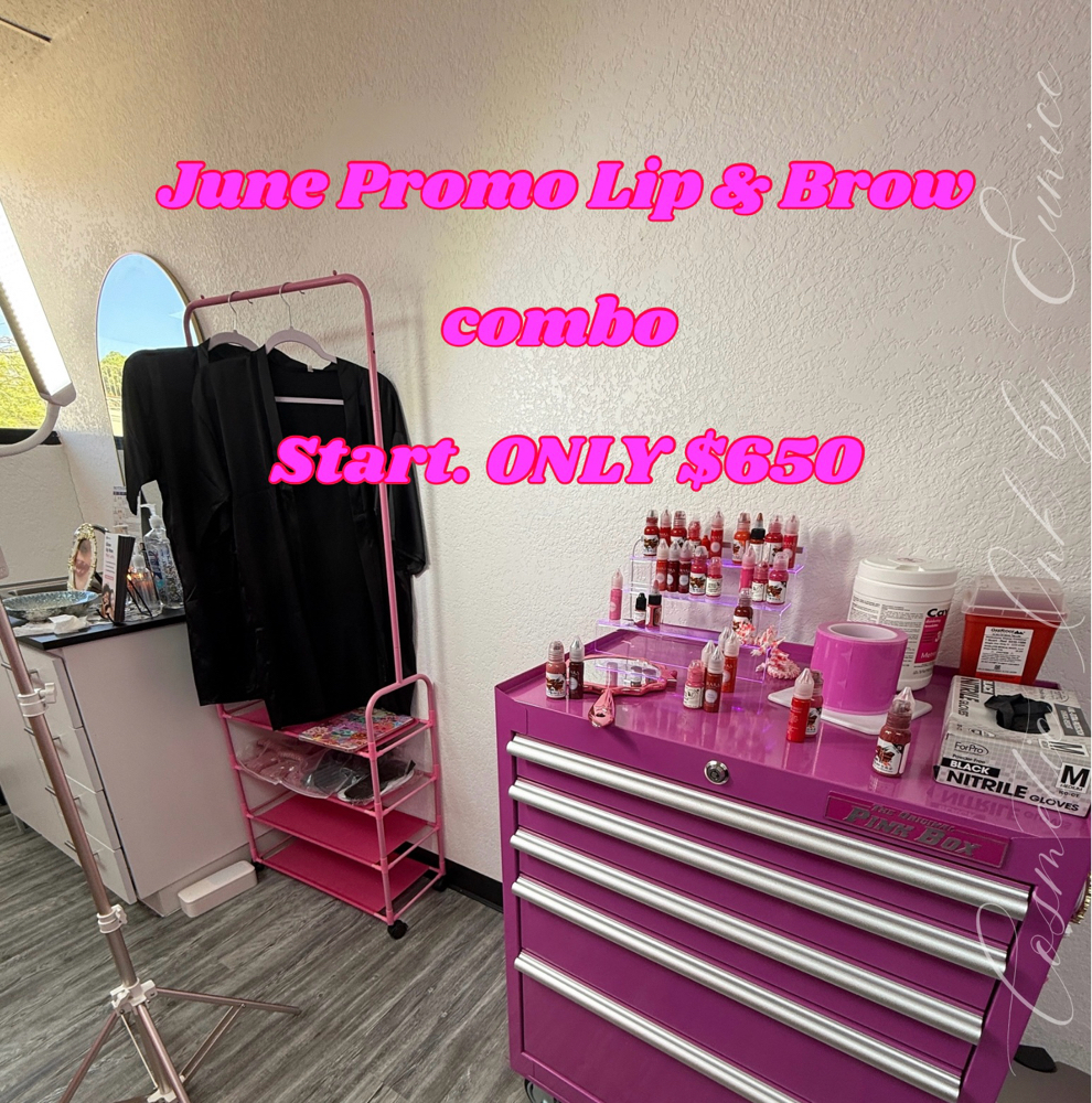 June Promo Lip & Brow Combo