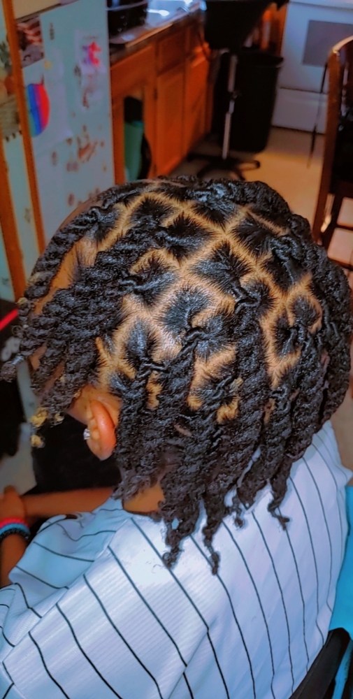Short Loc Retwist