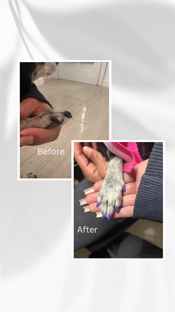 Pawdicure