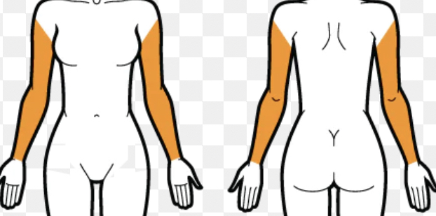 Full Arms Wax/Brazos Con Cera