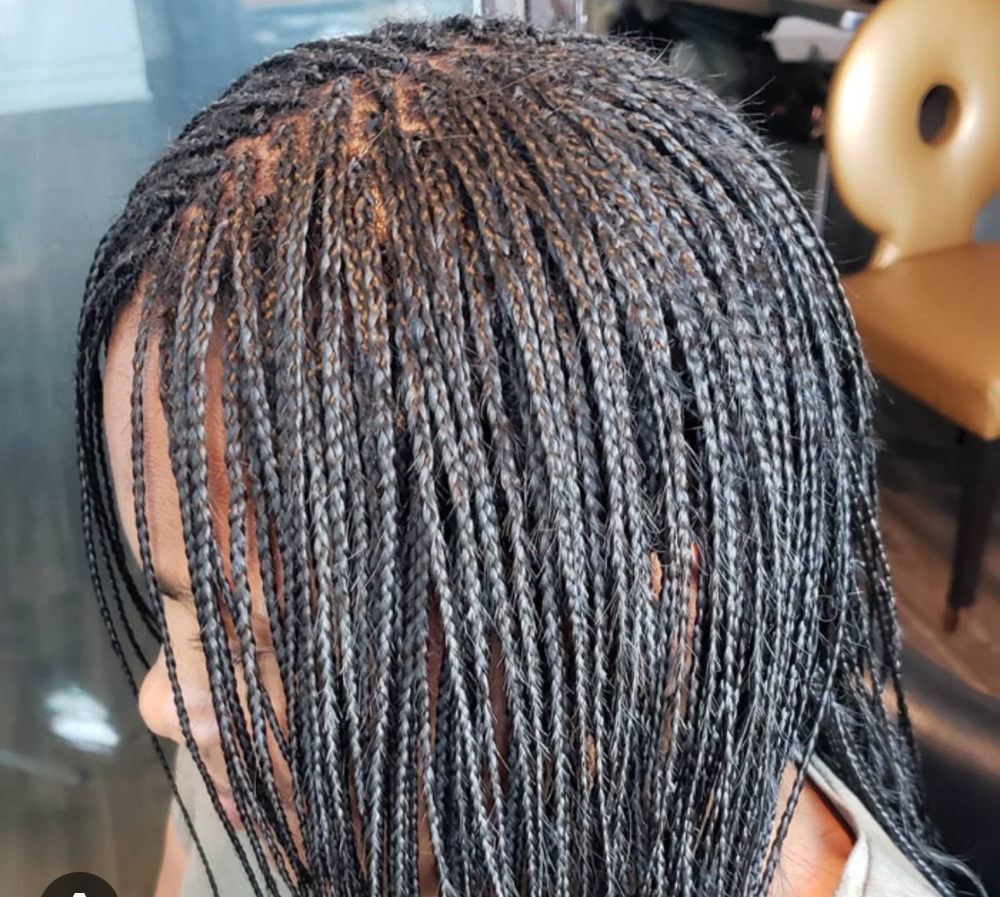 Micro Braids  (No Hair Provided)