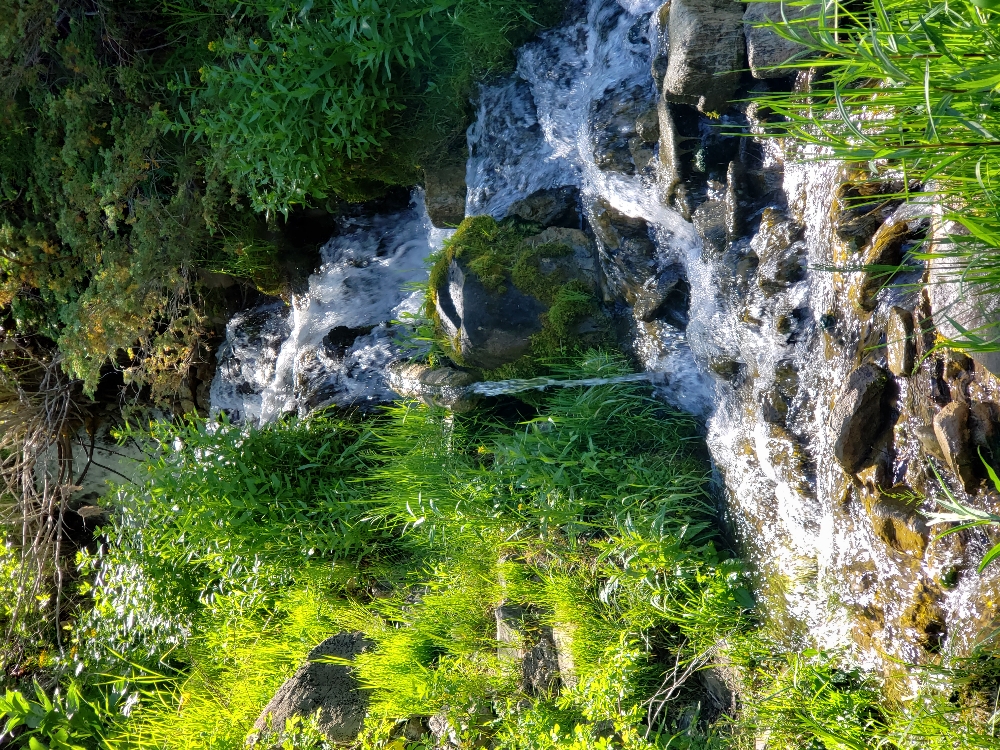 Mini Intuitive Healing Session