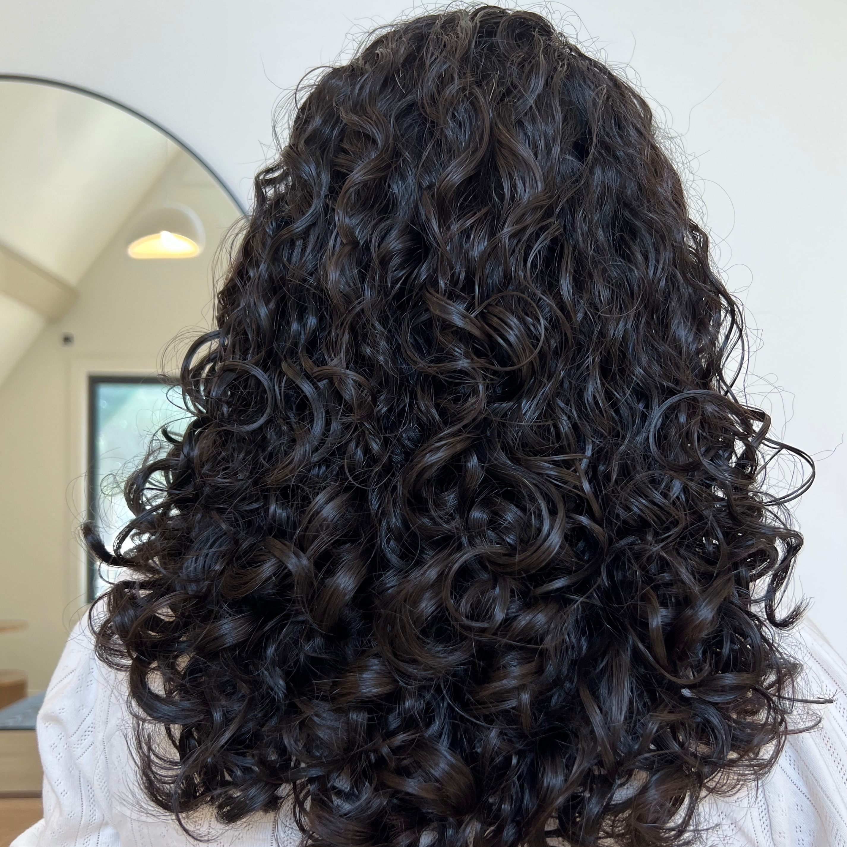 Curly Haircut at The Collective in Normal, IL