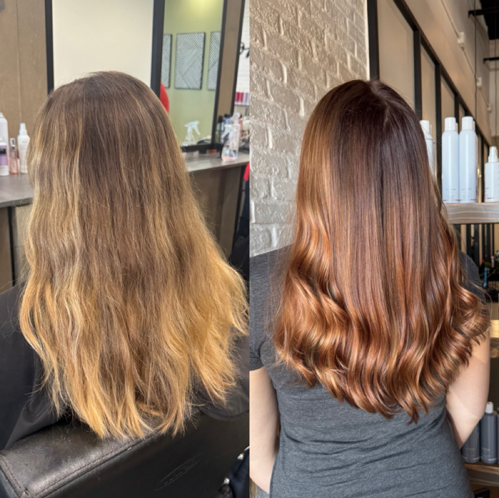Toner at Mountain Mane in Colorado Springs, CO