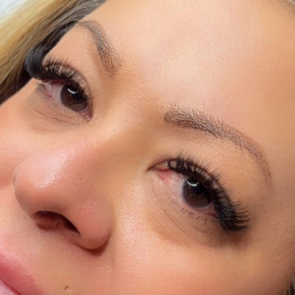 Volume 1-2 Week Fill (1-14 Days) at Lash All Boutique in Denver, CO