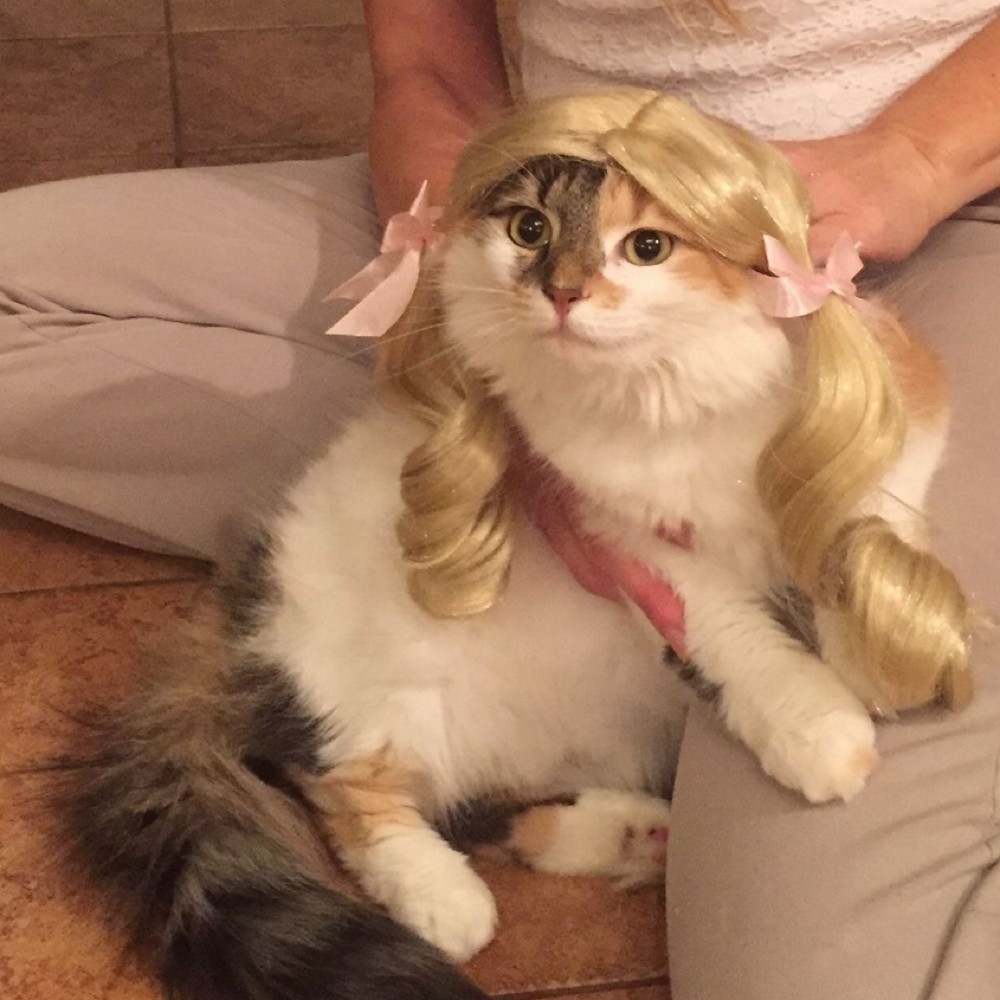 FULL HIGHLIGHT/LOWLIGHT at theonlygracetoeverexist in Dallas, TX