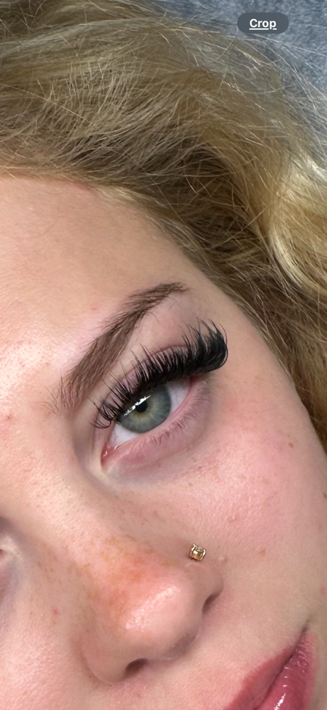 Hybrid Set Fill