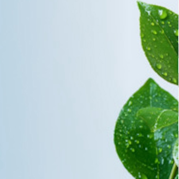Mandeliclear Peel+Vitamin A at SUSH Skin Studio And Spa in Covington, WA