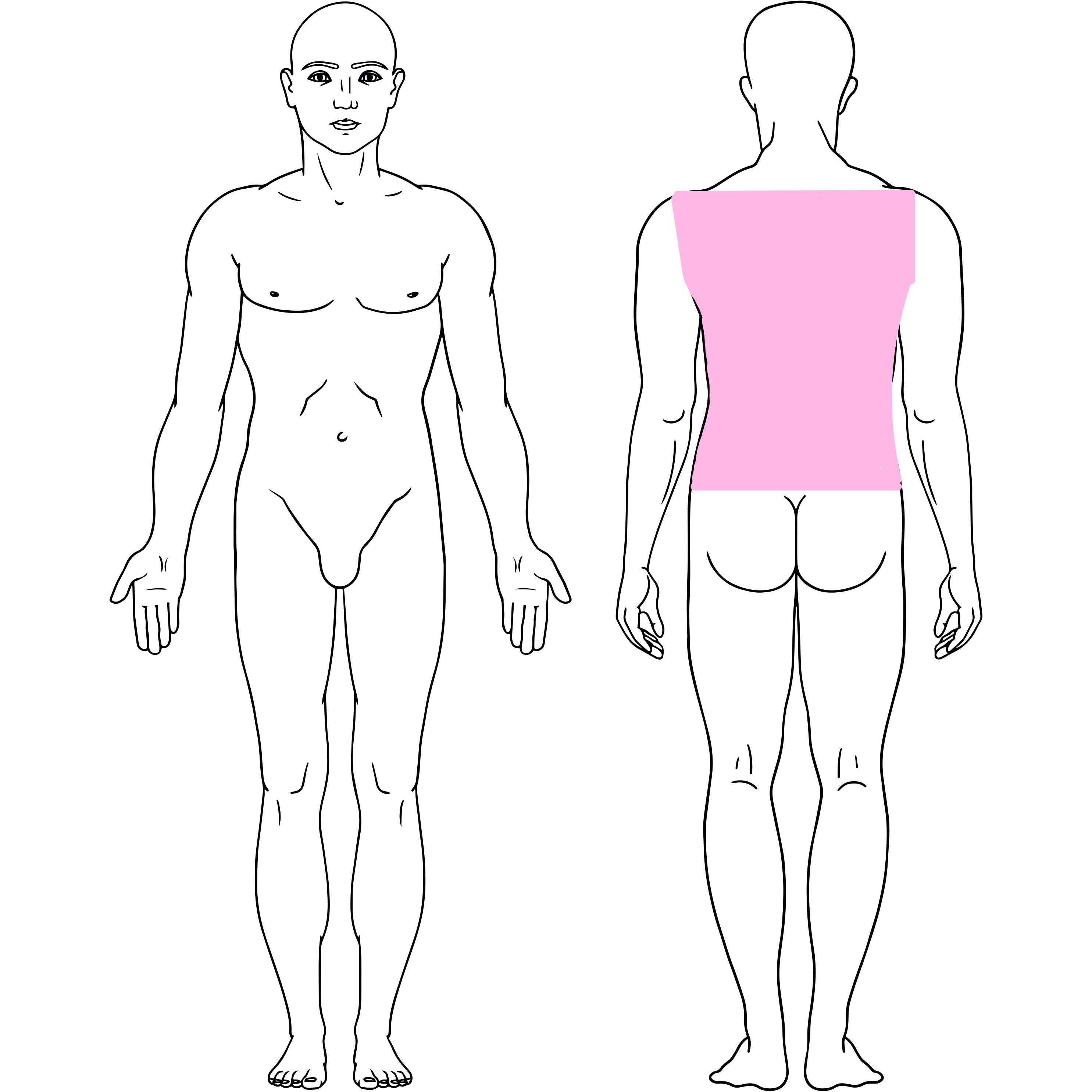 Full Back