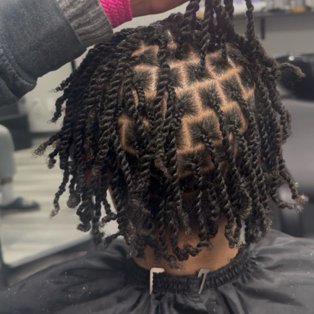 Two Strand Twist at Locd N Love in Indianapolis, IN