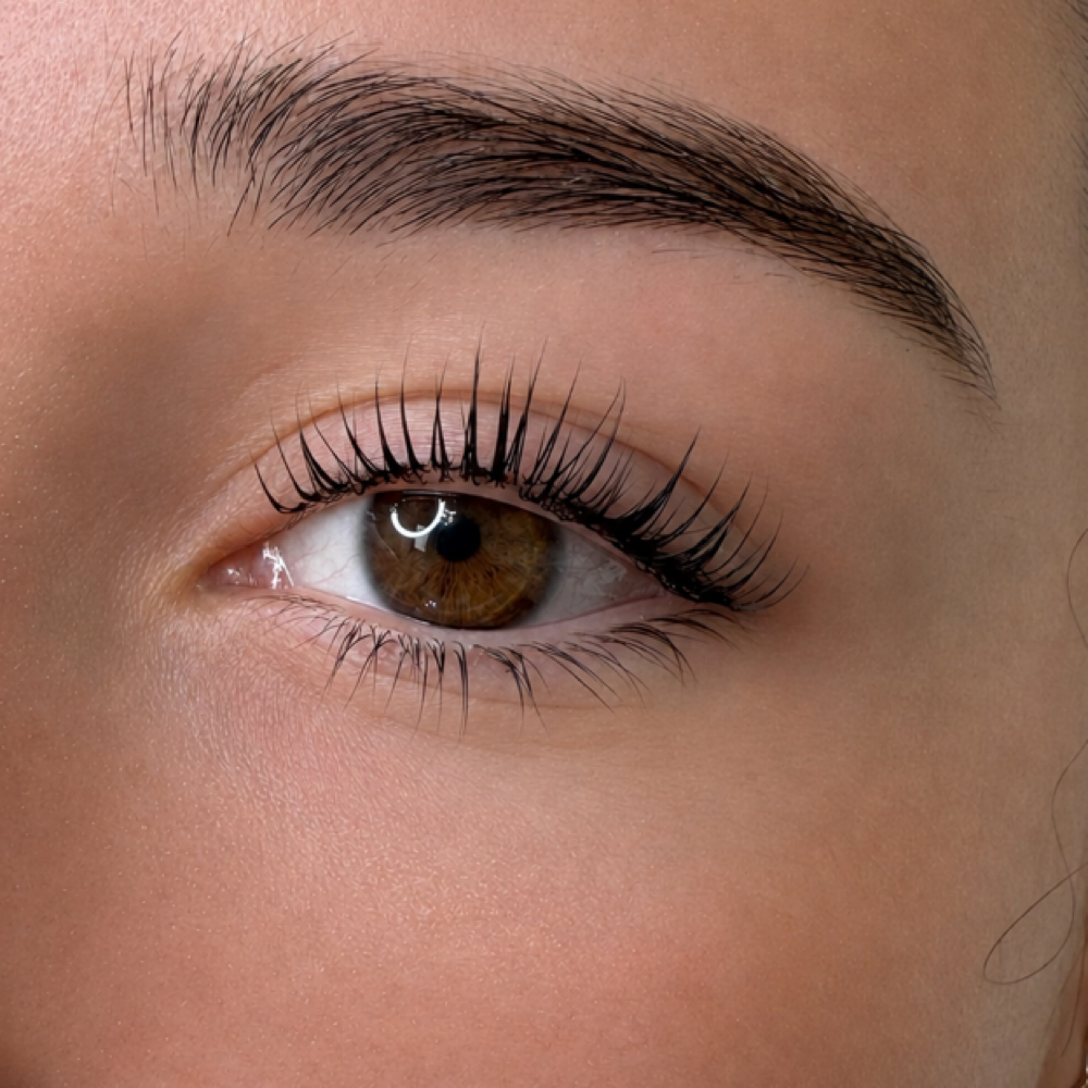 Korean Lash Lift + Tint PROMO at Kató Beauty in Tampa, FL