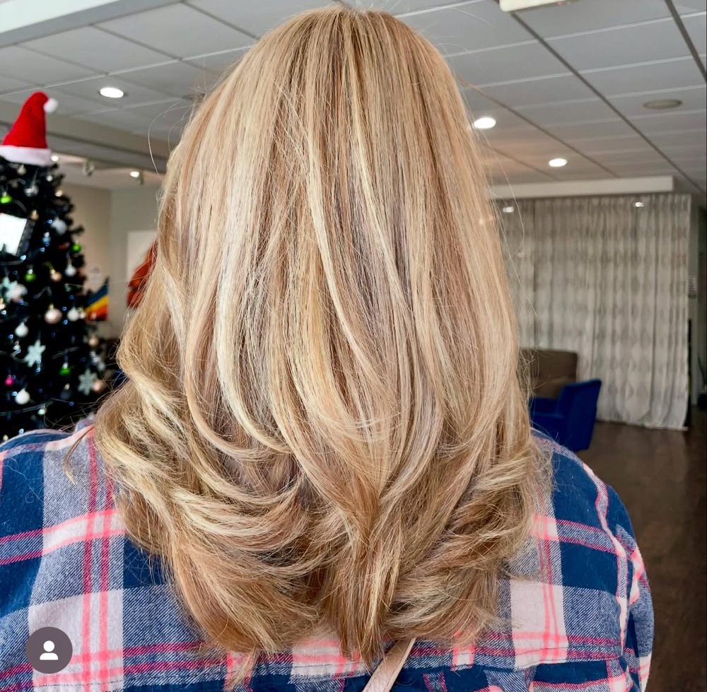 Partial Highlight at North & South Styles by Bri in Wake Forest, NC