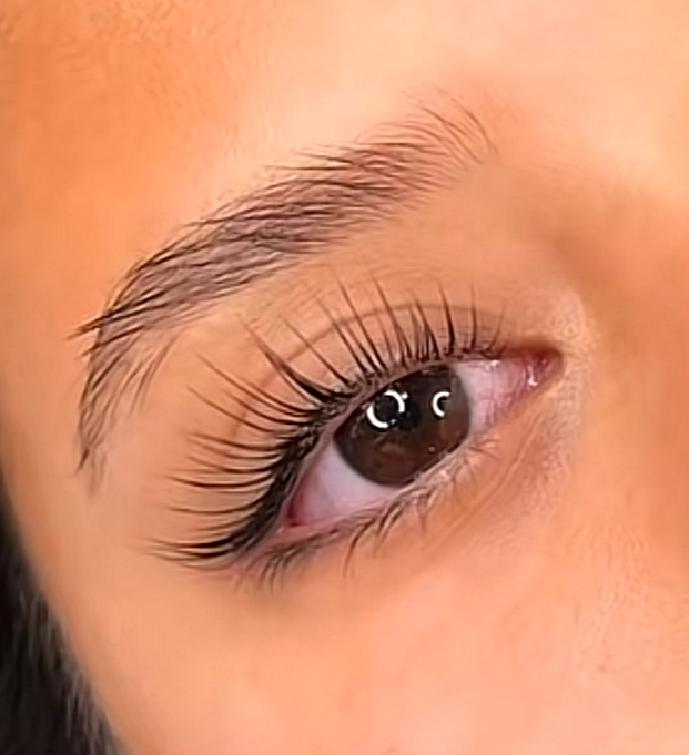 Korean Lash Lift
