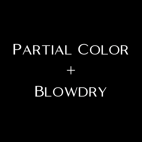 Partial Color+Blowdry