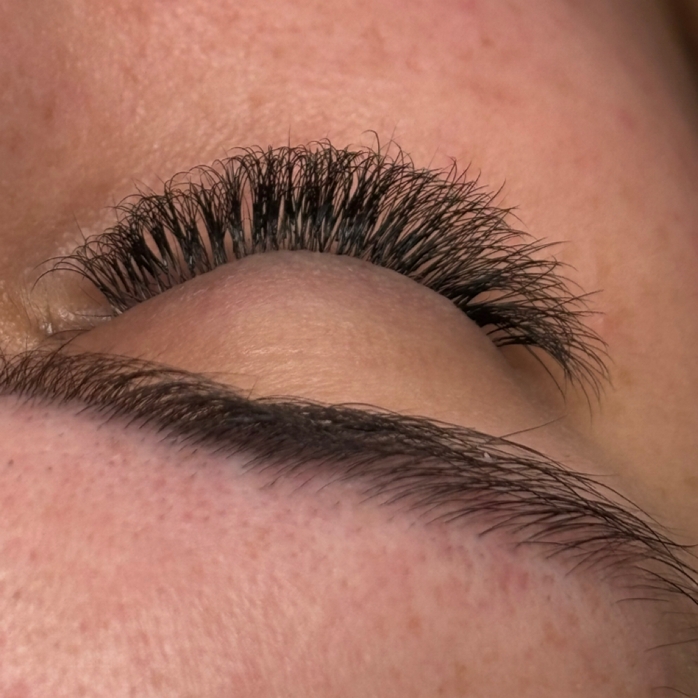 Hybrid Set at Elevated Beauty in Wildersville, TN