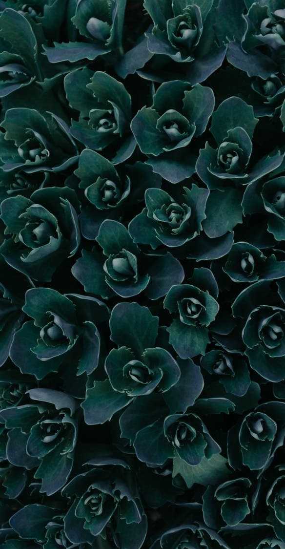 Kids cut (10 & under)