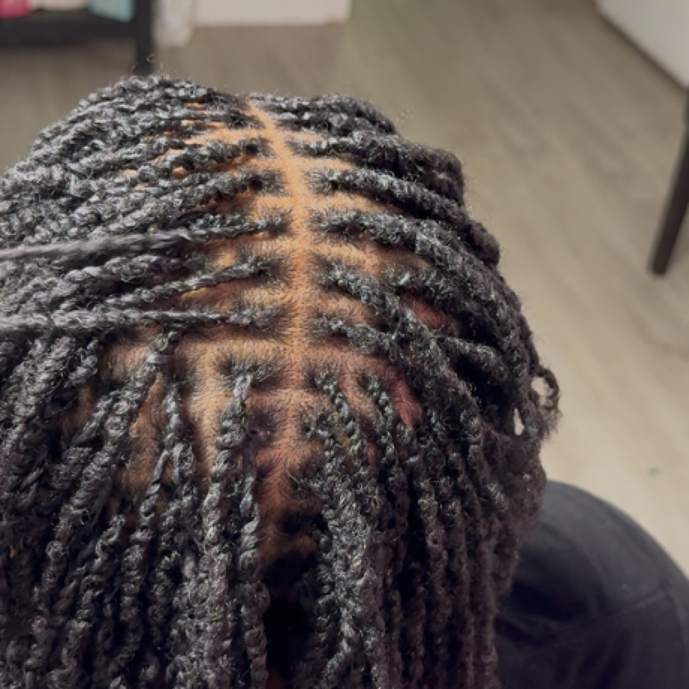 Sassy Natural Twist at Sassy Locs ATL LLC in Griffin, GA