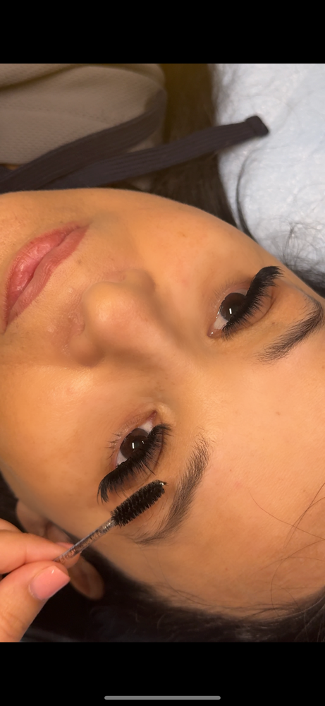 Lash Model
