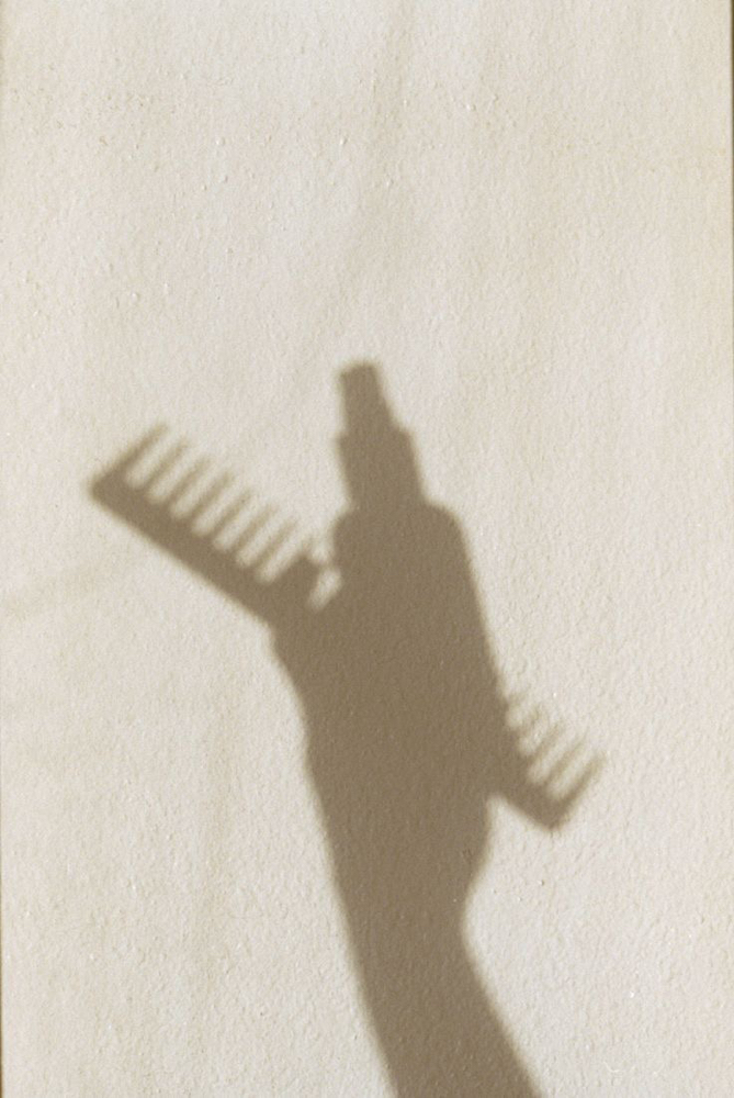 Extension Removal at Kayla Lawyer in Trenton, MI