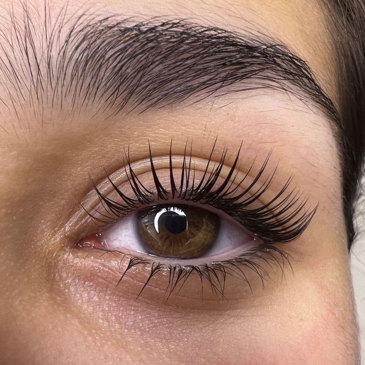 Lash Tint