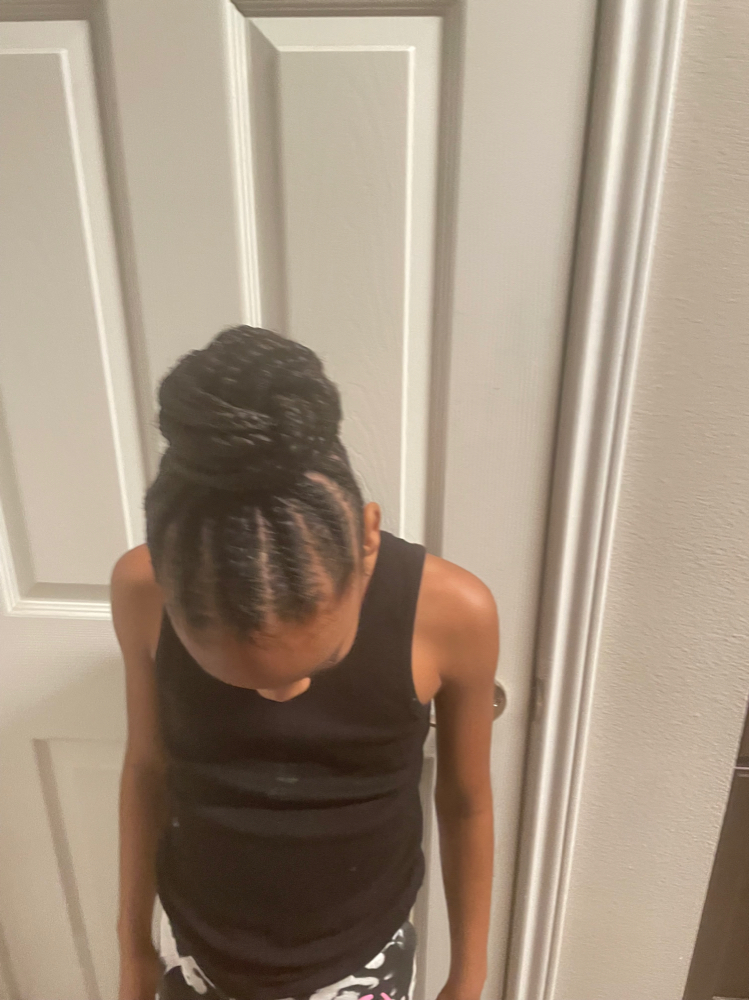 Braided Ponytail