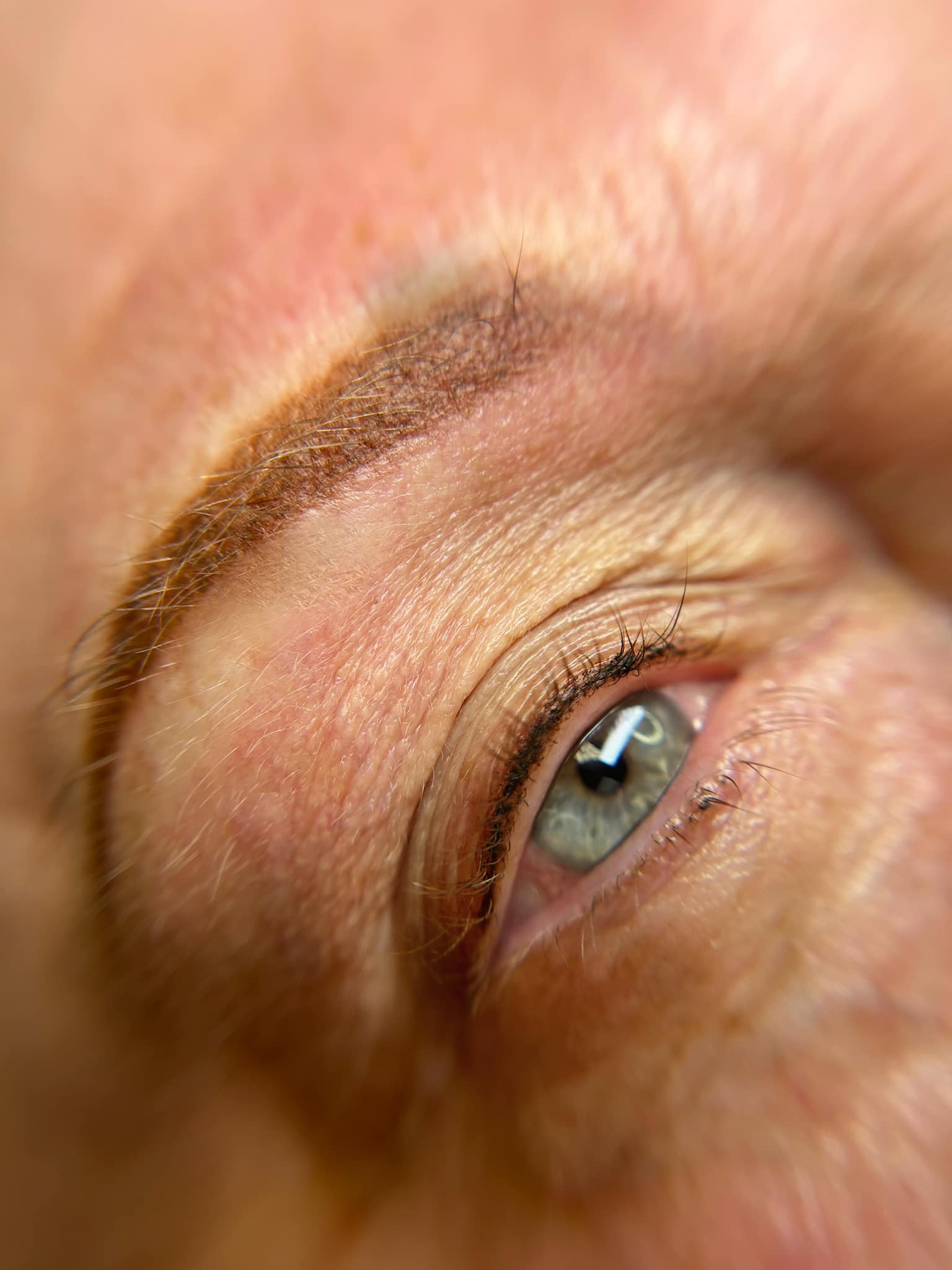 Ombré Powder Brows