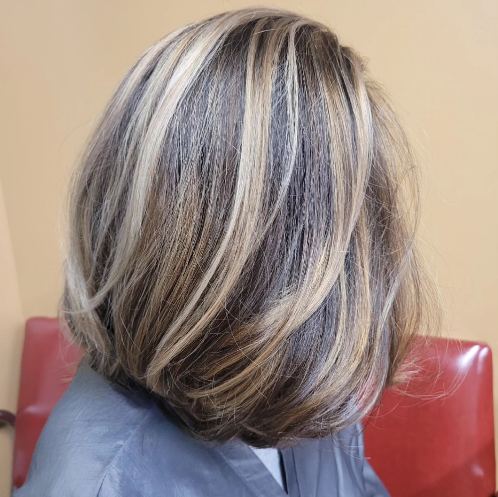Half Balayage W/ Natasha Chrisa