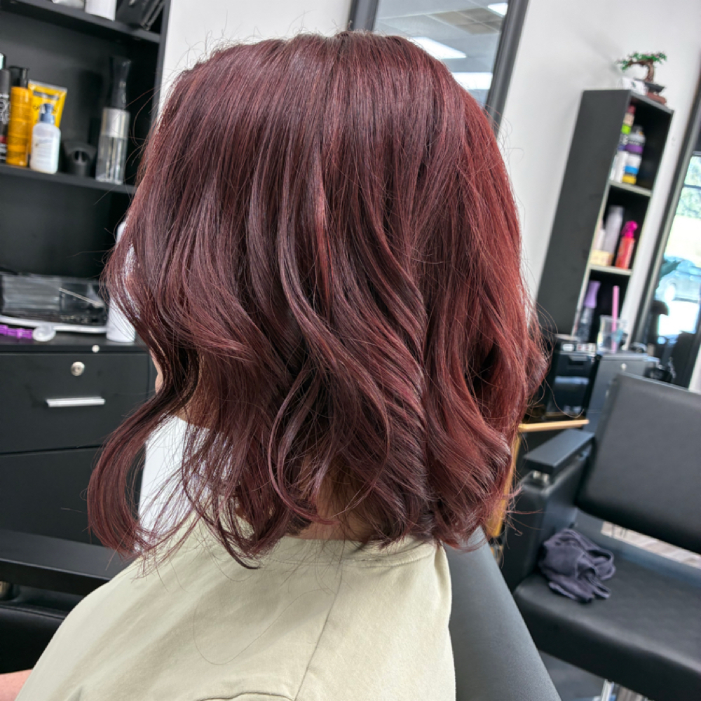 All Over Color And Cut at Hair By Stephanie in Bellevue, NE