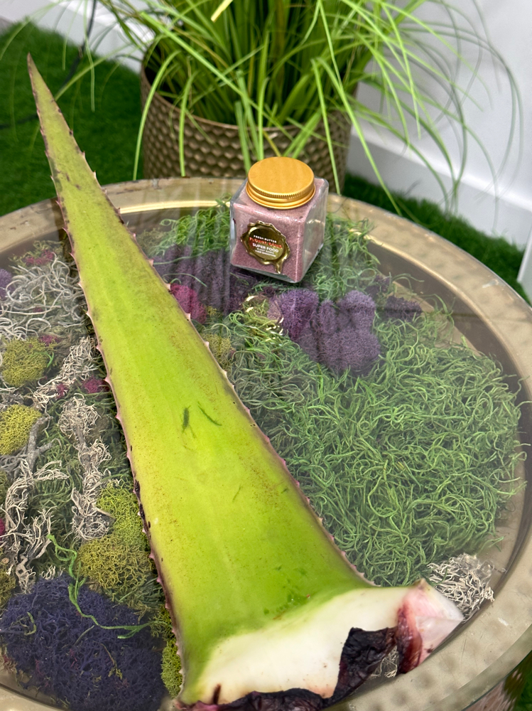 FB Aloe Vera Treatment