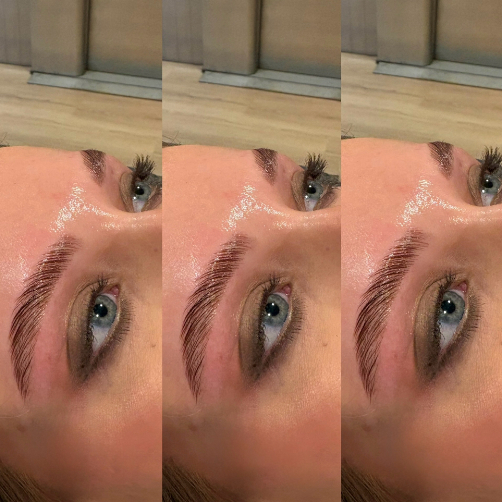 Brow Lamination + Tint at Milk & Honey Day Spa in Fairfield, IL