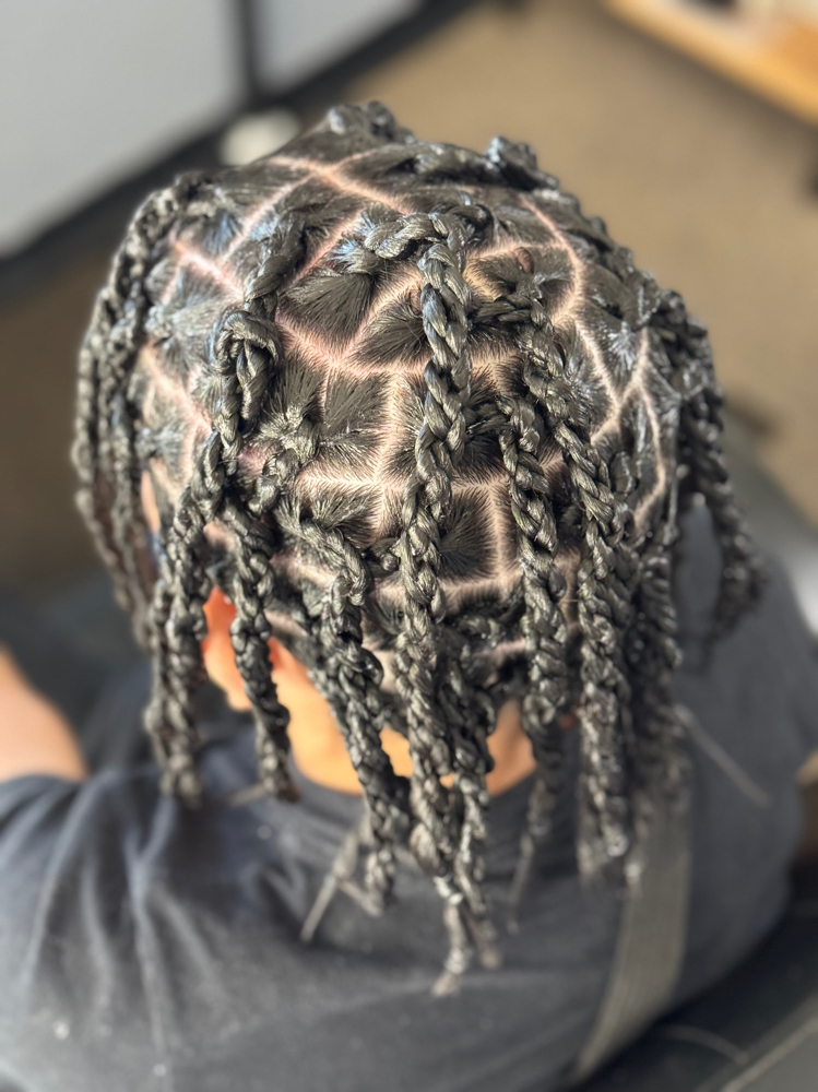 Box Braids/ Two Strand Twist Hybrid