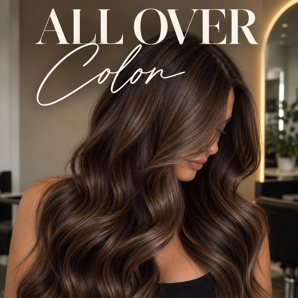 All Over Color at The beauty project LLC in San Antonio, Texas, TX