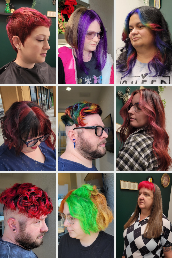 Vivid Color Services