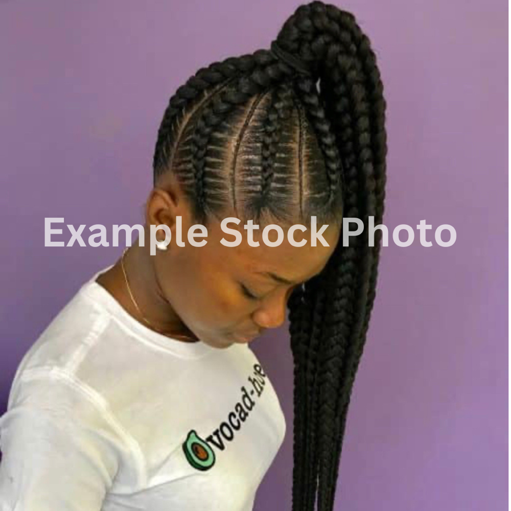 Feed In Braided Ponytail(Med/Large)