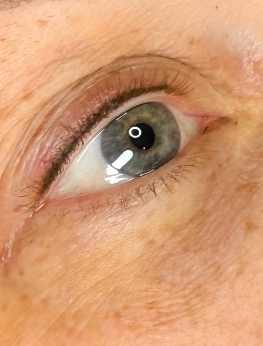 LASH-LINE TOUCH UP (6-8 Weeks)