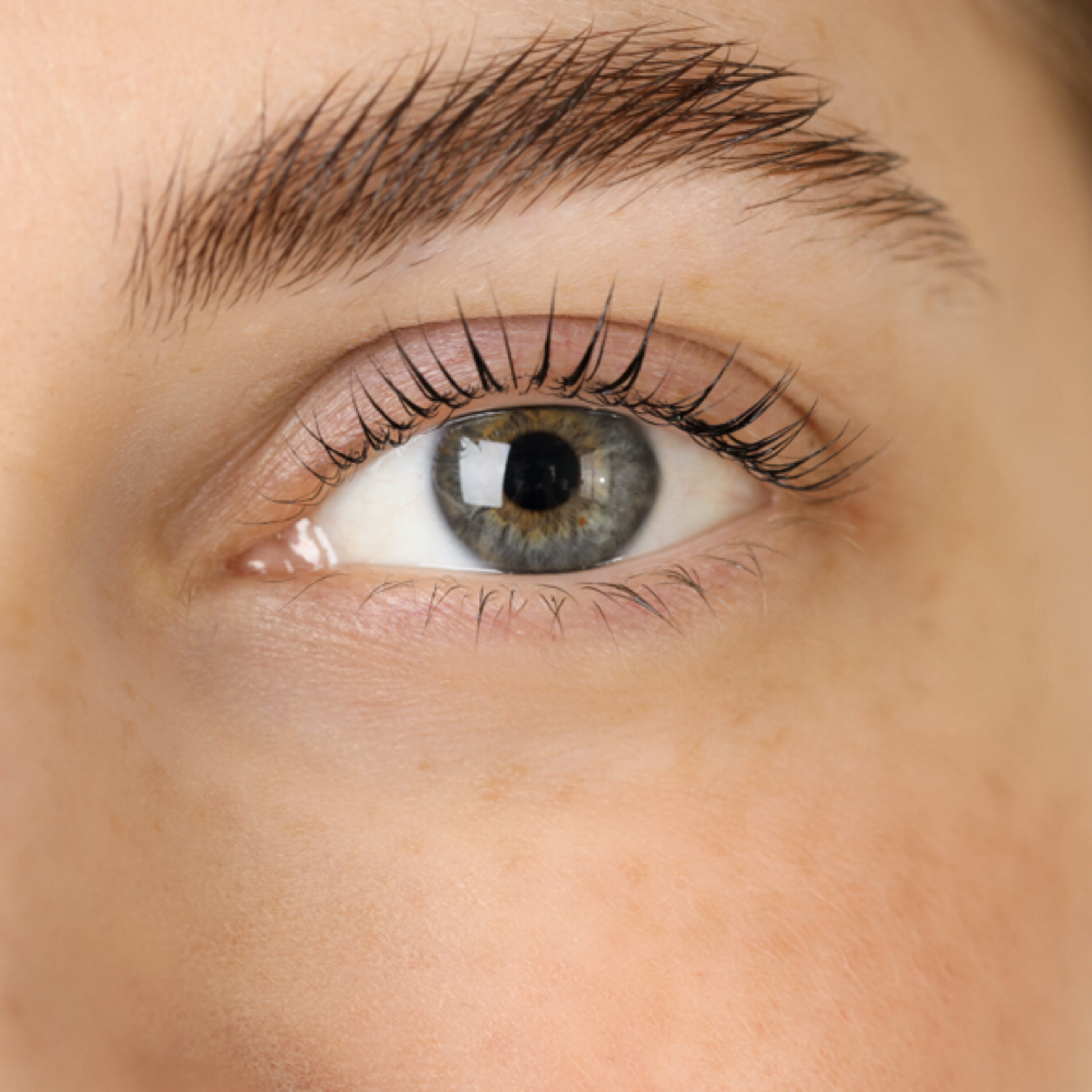 Korean Lash Lift with Tint at Nat Koto Esthetics in Milpitas, CA